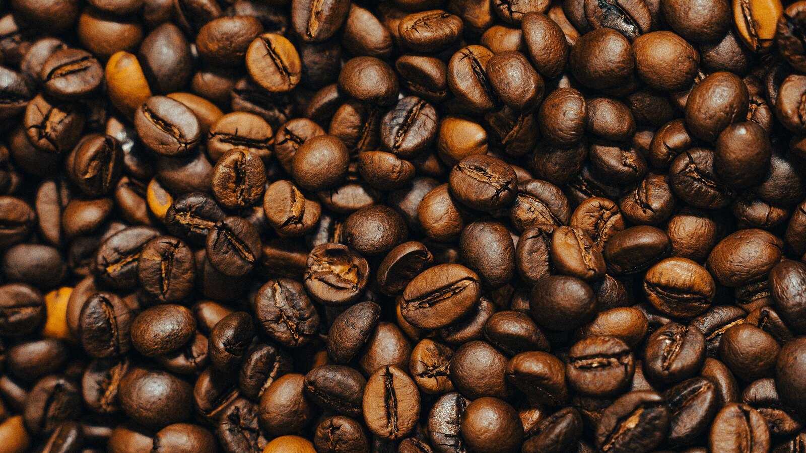 Roasted coffee beans up close
