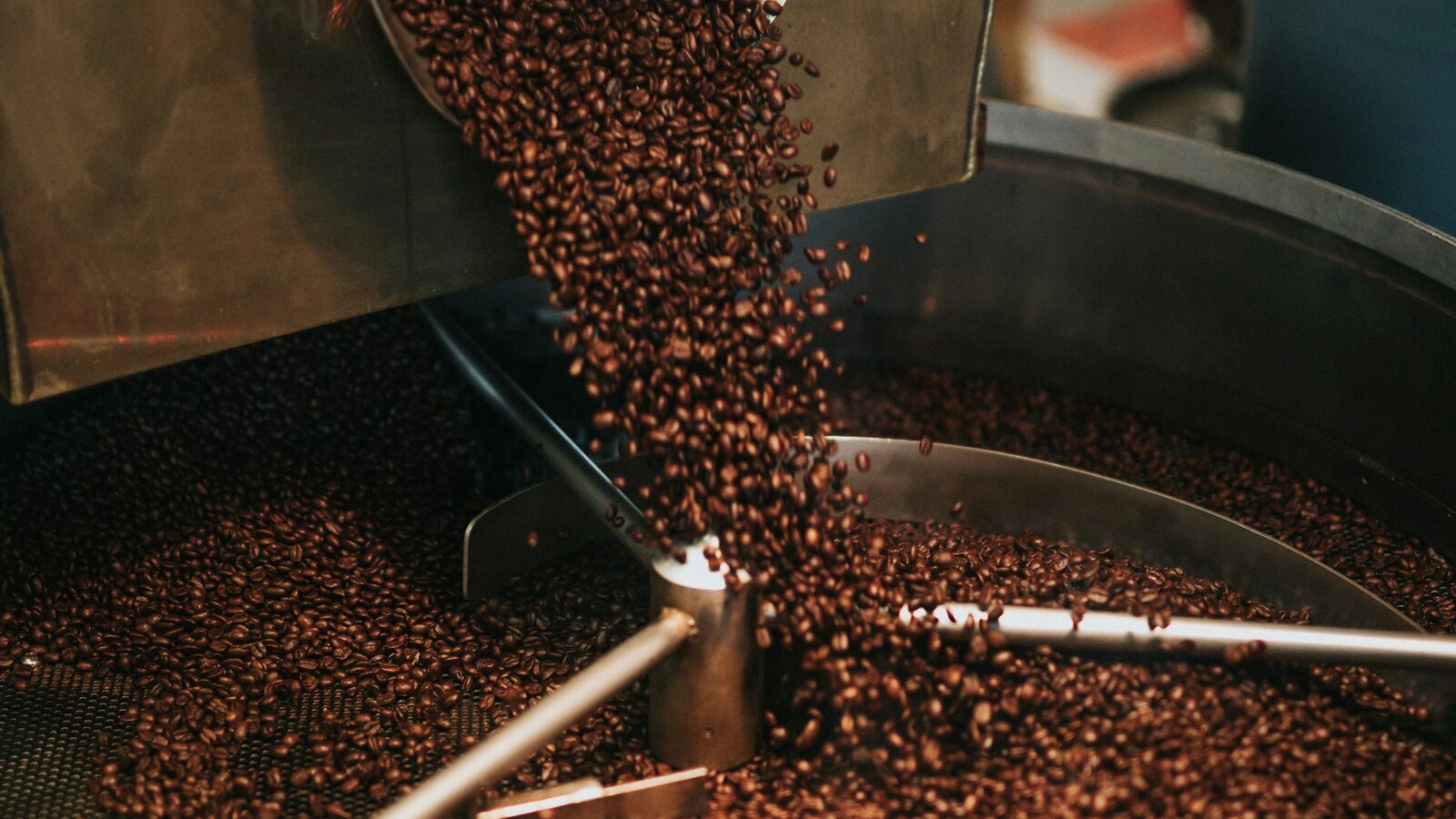 A coffee roaster drum with beans